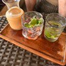 캣푸치노 | 발리 여행 - 우붓 당일치기 투어 (현지 가이드 연락처 공유)