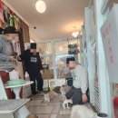 명품고양이카페 이미지