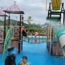 사평풍류마을오토캠핑장 | 전남 화순 사평풍류마을 물놀이터 오토캠핑장 광주근교 당일치기 유아 물놀이