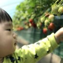 유영농장 이미지