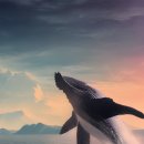 국밥클라쓰&냉면 이미지