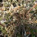 고향에봄 이미지