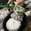짬부돈