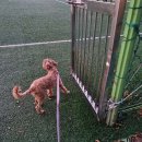 배다리공원 이미지