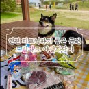 에피소드 | 인천 가볼만한곳 피크닉 장소 추천 드림파크 야생화단지 후기
