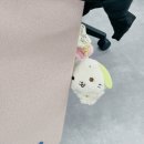 스위스안경노은3지구점 | (위즈니라이프) &#39;25.3분기결산 - 사.계.한(사제낌은 계속 되어야만 한다) | 위시키캡 드볼하기 | 여름에...