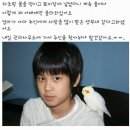 양찬