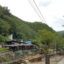 숫골계곡 Daum카페