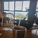 우렁찬한우정육점 이미지