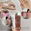 [디테라피노 카멜리아 콜라겐 립핑팩+토너세트] 콜라겐마스크 속건조잡아주는 촉촉한 콧물제형토너 추천