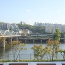 대교김밥 이미지