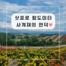 최성농장 | 홋카이도 비에이 사계채의 언덕 (시키사이노오카) 트랙터, 팜토미타 8월 후기