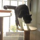 개토농장 이미지