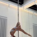 시드폴댄스