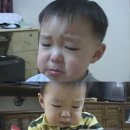 피포파 이미지