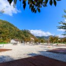 황학동캠핑장 이미지