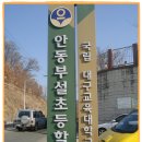 대구교육대학교안동부설초교 이미지