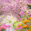 만수노인복지원 이미지