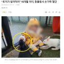 아기가 동물원에서 토끼한테 물려 손가락 절단 이미지