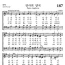 천사의양식 이미지