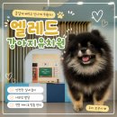 아이뽀 애견 유치원 호텔 | 구월동 강아지유치원 옐레드 인천구월점, 애견유치원·강아지호텔 체험 후기