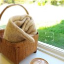 이레패션 이미지