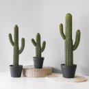 미스타일 이미지