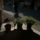 연미새시장 이미지