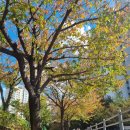 수지체육공원 풋살장 이미지