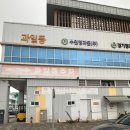 수원, 싱싱한 제철 해산물이 가득한 [농수산물시장] 가격, 주차 솔직후기