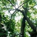 광주 동부경찰서 이전 속도낸다 이미지