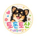 인천 애견동반 횟집 추천! 주안 야장 분위기 맛집 인천앞바다 내돈내산 솔직 후기