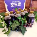 109포도 - 17334 | 109포도
