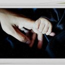 라라올라 이미지