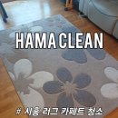시흥 러그 카페트 청소 세탁 전문 업체 하마클린 얼룩 제거 후기는?