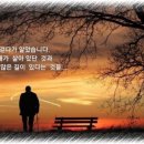 맑은 옷 이미지