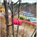 세상을 보는 눈