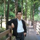 금관절경 이미지