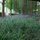 천지인(天.地.人) 이미지