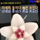 인생의 반환점은 어디인가? 이미지