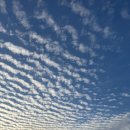 라이프식당 이미지