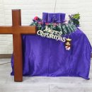 대림절 1주 성전 꽃꽂이 - 대전 한사랑교회 이미지