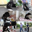 까미농장 이미지