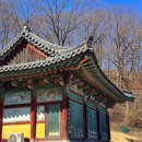 강선암주차장 | 의령 가례면 사찰 자굴산 자락 백련암