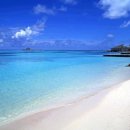 파라다이스 이미지