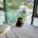 더 프리즘 펜션 | 강원도 고성 수영장 펜션 가족 여행 숙소 더프리즘