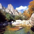 *출발확정* 28인승리무진 [울산안내산악회] 10월24일(금요일밤)~25일(토) 설악산 대청봉 백담사 단풍 무박 특별산행 이미지