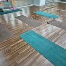 빈야사요가B | 천호역필라테스 후기 빈야사 척추테라피 캐딜락 강동구새벽요가