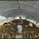 갈골농장 이미지