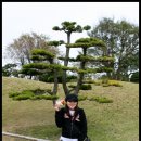 설록차전시관 이미지